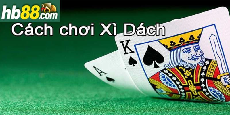 Cách chơi game bài đặc biệt bạn nên biết